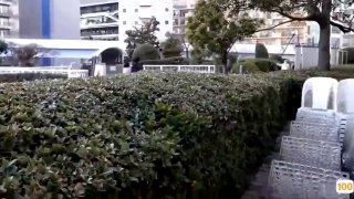 精品亚洲av无码区最新